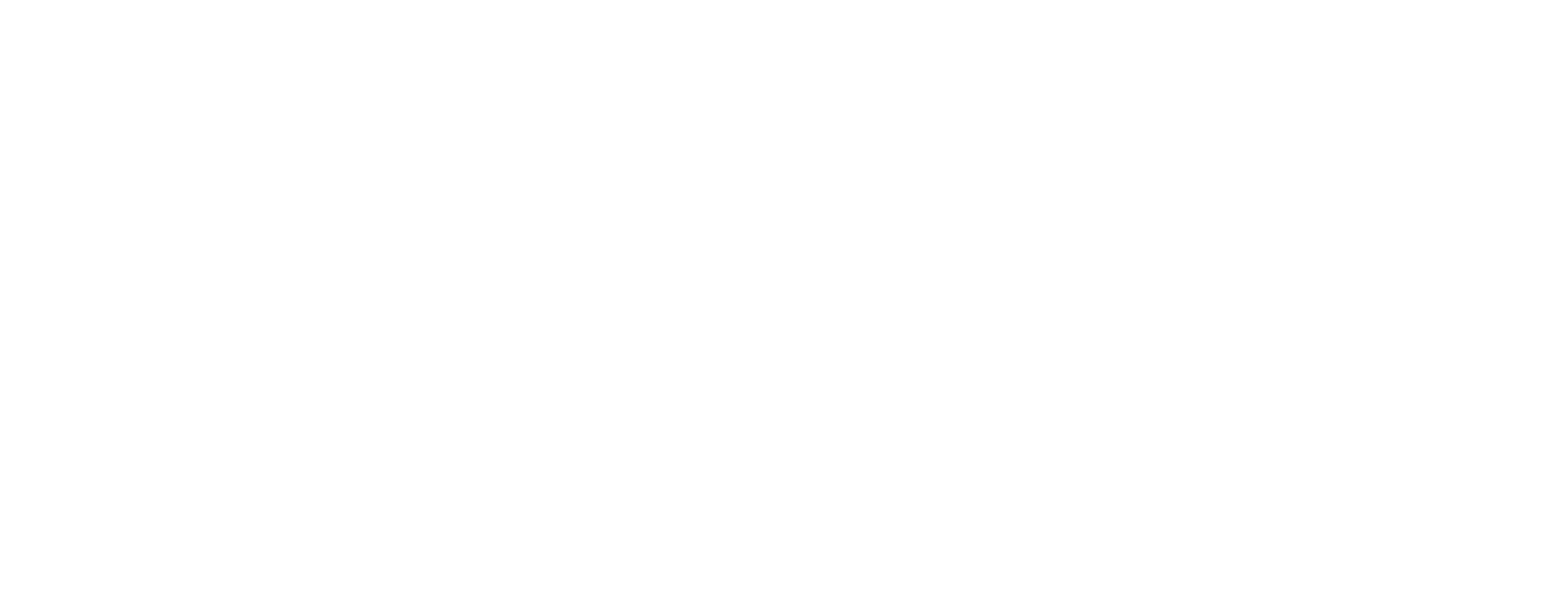 Euler Software